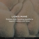 the-genius-brand-genius-lion-s-mane-plan-5.jpg