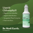 nature-s-sunshine-detox-support-duo-liqu-2.jpg