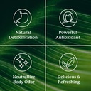 nature-s-sunshine-chlorophyll-stick-pack-6.jpg