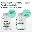 organics-ocean-wild-sea-moss-capsules-an-3.jpg
