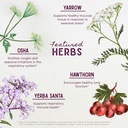 wishgarden-herbs-deep-lung-bronchial-sup-4.jpg