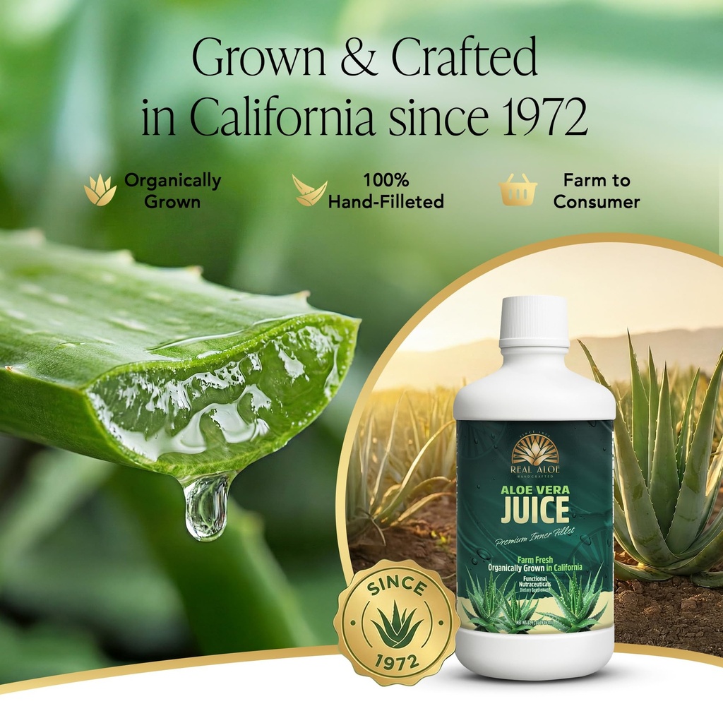 real-aloe-aloe-vera-juice-32-fl-oz-handc-3.jpg