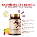 cranberry-extract-500mg-per-serving-cran-5.jpg