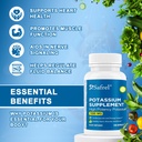 safrel-potassium-supplement-1020-mg-240--3.jpg