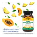 country-life-papaya-digestive-support-da-4.jpg