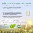 aloecure-aloe-vera-capsules-made-with-or-6.jpg