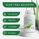 aloecure-aloe-digestion-pack-2-pieces-al-2.jpg