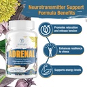 adrenal-support-adaptogens-herbs-supplem-4.jpg