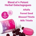 pink-stork-lactation-supplement-gummies--2.jpg