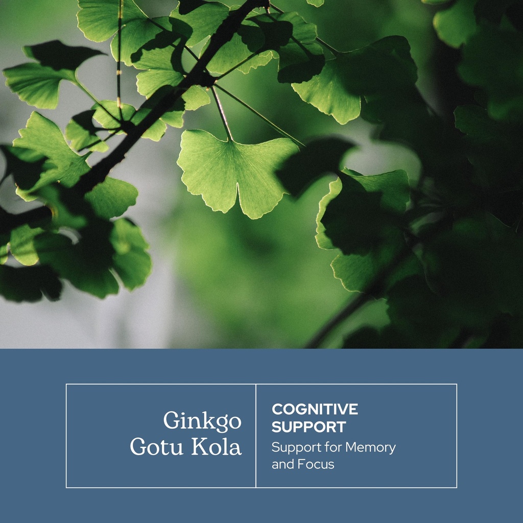 eclectic-herb-ginkgo-gotu-kola-capsules--3.jpg