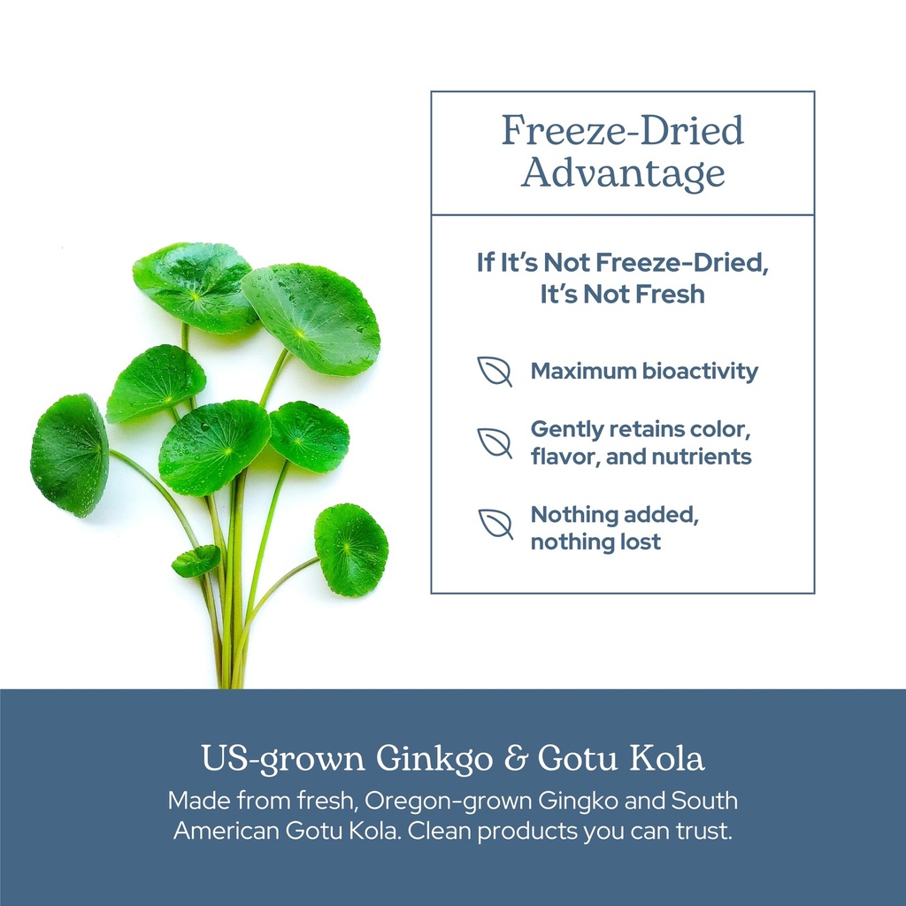eclectic-herb-ginkgo-gotu-kola-capsules--5.jpg