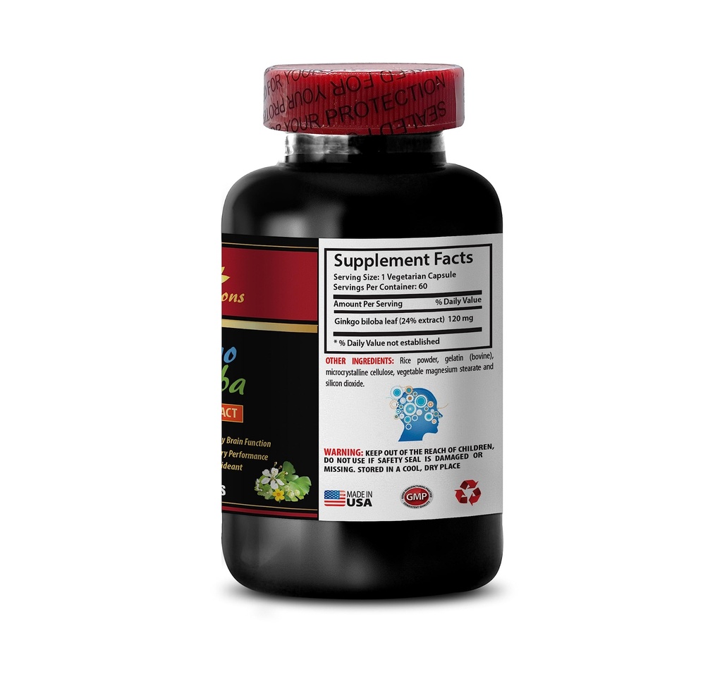 brain-and-memory-booster-ginkgo-biloba-2-4.jpg