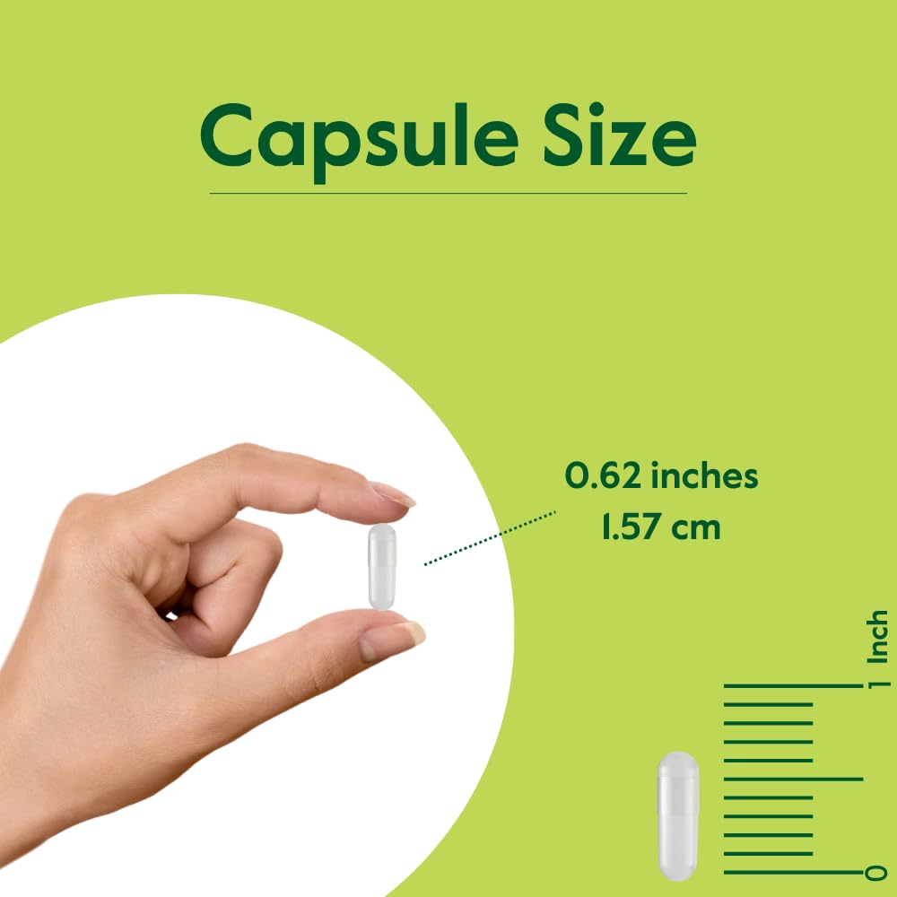 bestvite-ginkgo-biloba-120mg-240-capsule-5.jpg