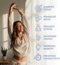 magnetic-mind---premium-cognitive-supple-6.jpg