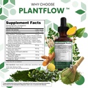 clean-nutra-moringa-supplement-drops-ash-5.jpg