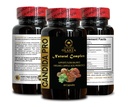 candida-pro-complex-reishi-mushroom-blac-5.jpg