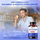 vital-herbal-liposomal-benfotiamine-with-2.jpg