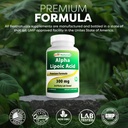 best-naturals-alpha-lipoic-acid-300-mg-1-5.jpg