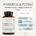 dr-scott-s-advanced-brain-focus-suppleme-3.jpg