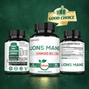 satoomi-lions-mane-with-ginkgo-biloba-su-6.jpg