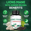 satoomi-lions-mane-with-ginkgo-biloba-su-5.jpg