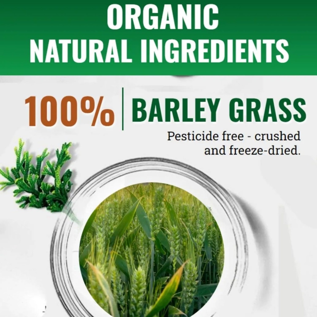 naveta-barley-grass-powder-100-pure-orga-4.jpg