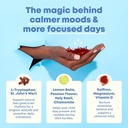 joyspring-mood-magic-for-kids-natural-mo-6.jpg