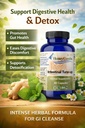 intestinal-tune-up-herbal-bowel-detox-an-4.jpg