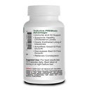 prebiotic-capsules-for-women-men-organic-6.jpg