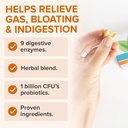 zenwise-health-no-bloat-probiotics-for-w-4.jpg