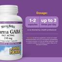 natural-factors-pharma-gaba-dietary-supp-3.jpg