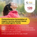 rlc-labs-a-drenal-120-capsules-herbal-co-3.jpg