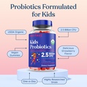 lovebug-kids-probiotic-gummies-organic-c-4.jpg