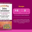 curcuminrich-joint-curcumizer-by-natural-3.jpg