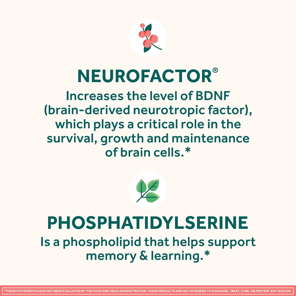 neuriva-original-brain-supplement-for-me-6.jpg