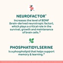 neuriva-original-brain-supplement-for-me-6.jpg