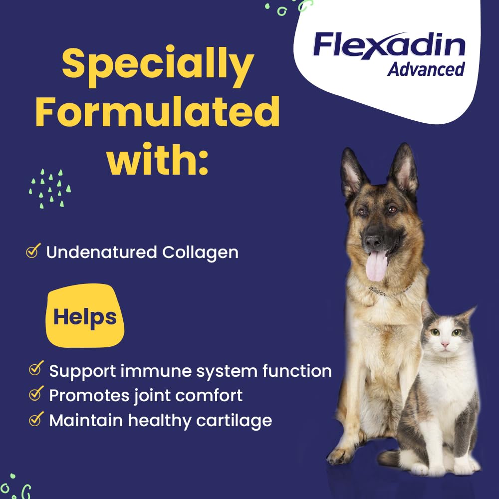 vetoquinol-flexadin-advanced-dog-hip-and-3.jpg