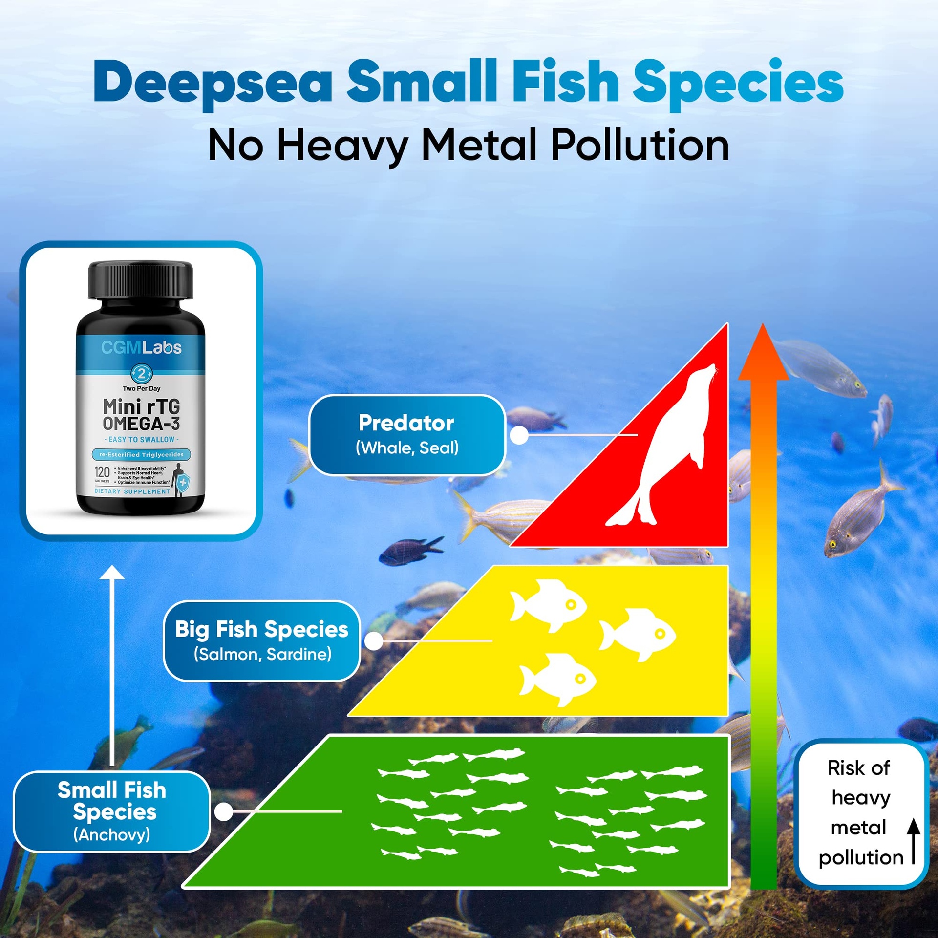 Rtg Fish rTG Omega-3 Fish Oil - 960mg EPA & DHA