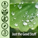 nature-s-answer-alcohol-free-ginko-leaf--5.jpg
