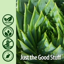 nature-s-answer-s-aloe-vera-phytogel-ant-5.jpg