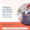 youtheory-joint-complex-with-uc-ii-colla-5.jpg