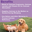 canine-whelping-calcium-paste-combines-c-2.jpg