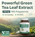 egcg-green-tea-extract-capsules---super--2.jpg
