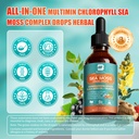 sea-moss-drops-irish-sea-moss-chlorophyl-5.jpg