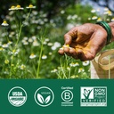 organic-india-memory-herbal-supplement-s-6.jpg