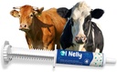 Ruminants Pre and Probiotic Paste (80g)- Pre and Probiotics with Vitamins and Minerals- 6 Strains and 8 Billion CFU- Immune and Gastro Health Support for All Ruminants: Bovines, Goats & More