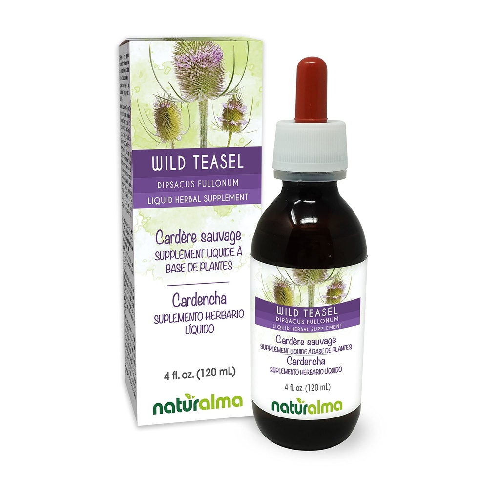 Naturalma Wild Teasel or Fuller's Teasel (Dipsacus fullonum or D. sylvestris) Root Alcohol-Free Tincture - 4 fl oz Liquid Extract in Drops - Herbal Supplement - Vegan