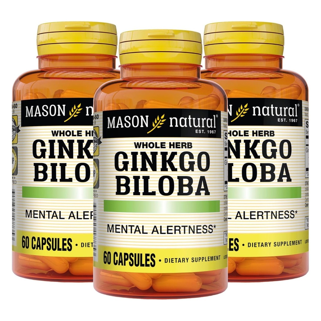 MASON NATURAL Ginkgo Biloba, 3 Month Supply, Helps to Improve Mental Alertness & Support Optimal Brain Function, 60 Capsules (3 Pack)