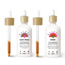 Rainbo Brain Health Bundle, Lion's Mane Mushroom Extract + Reishi Mushroom Tincture, Dual Extract Daily Mushroom Tinctures for Comprehensive Immune Support, Vegan Liquid Mushroom Supplements