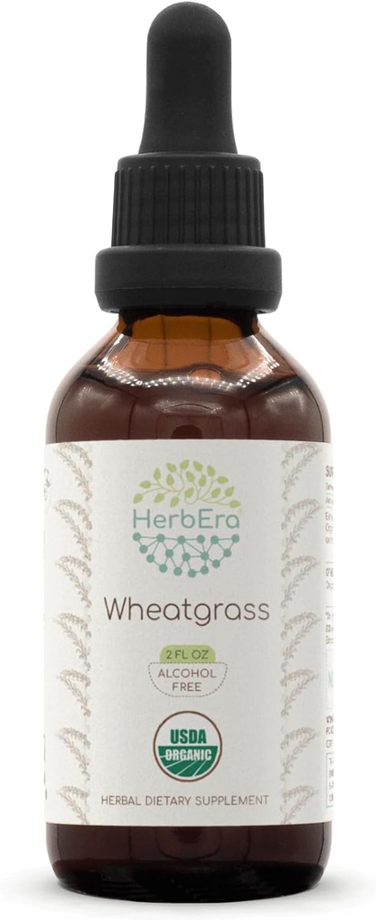 HerbEra Wheatgrass B60 USDA Organic Tincture | Alcohol-Free Extract, High-Potency Herbal Drops, Liquid Supplement | Certified Organic Wheatgrass (Triticum aestivum) Dried Leaf (2 oz)